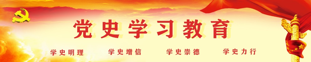 新太阳城庆祝建党100周年党史学习教育专题